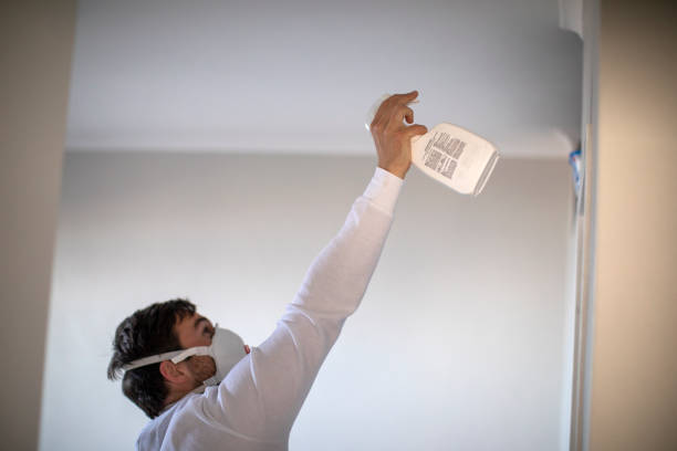 Best Residential Mold Remediation in Stratford, TX